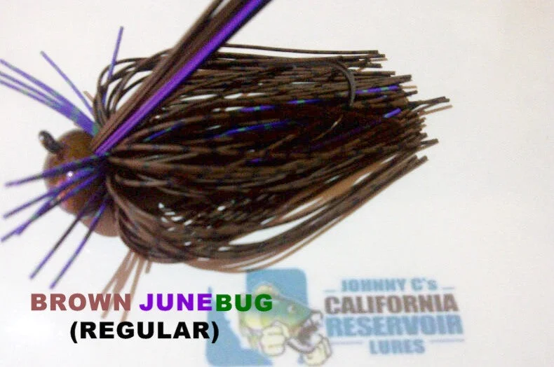 Brown Junebug