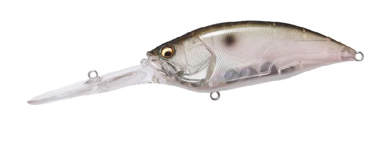 (SP-C) MB Gizzard Shad