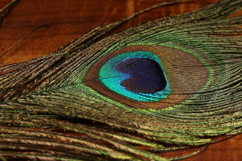 UV2 Peacock Eyes Natural 2 Per Bag