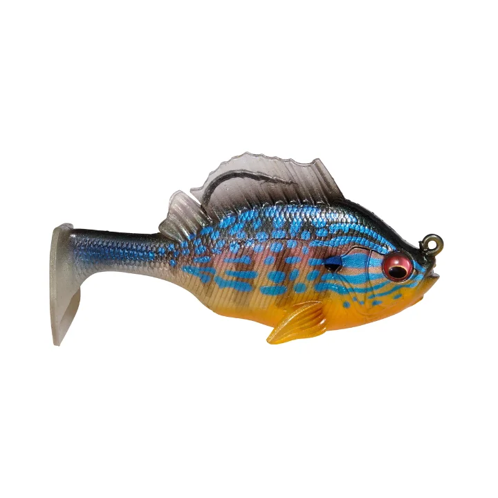 Cichlid