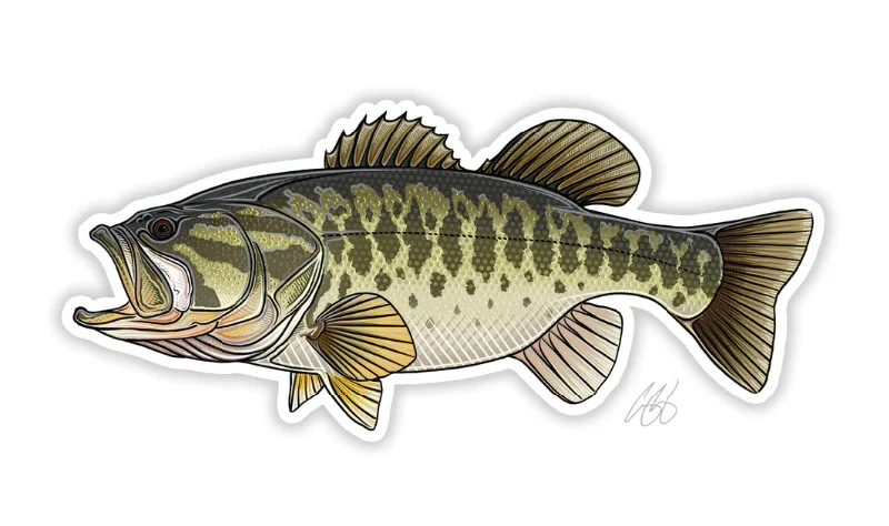 Casey Underwood Largemouth Bass Decal