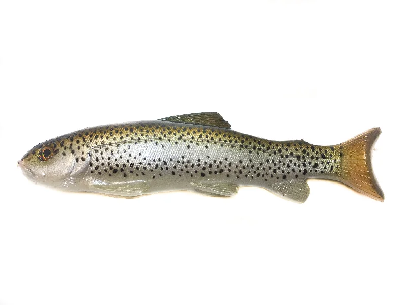 RainbowTrout