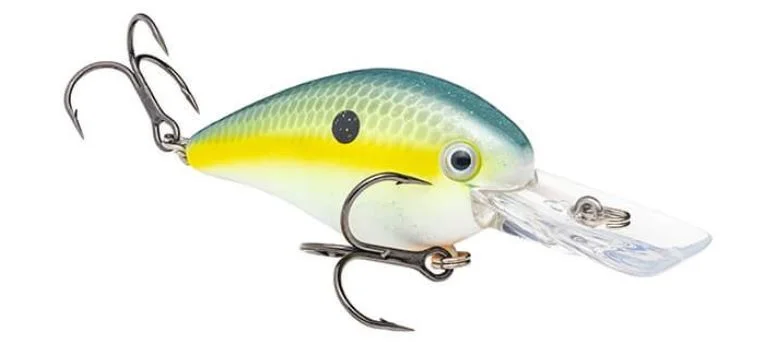 Sexy Shad